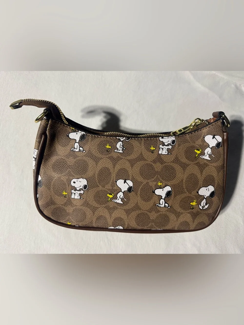 Women’s Coach x Peanuts Snoopy/ Charlie Brown purse ੯‧̀͡⬮ 🐤